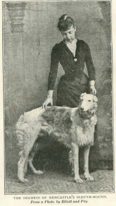 Photo of a Sleuth hound (extinct dog breed) with 19th century woman standing behind